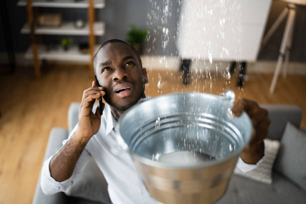 Best Ceiling water damage repair  in Franklin Center, NJ