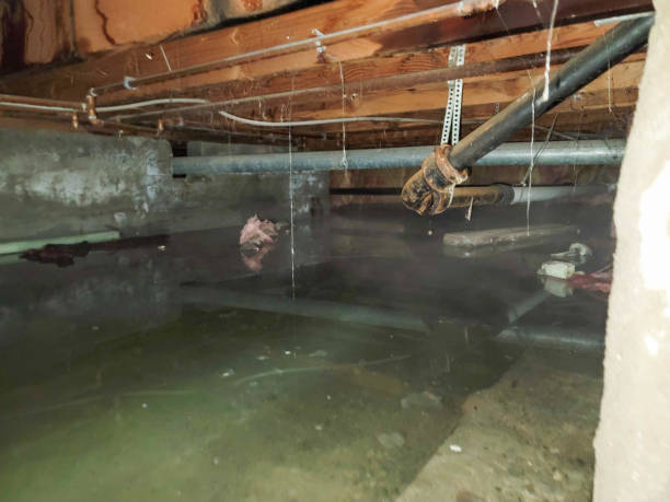 Best Commercial water damage restoration  in Franklin Center, NJ