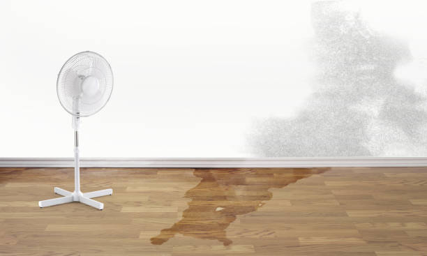 Best Water damage repair service  in Franklin Center, NJ