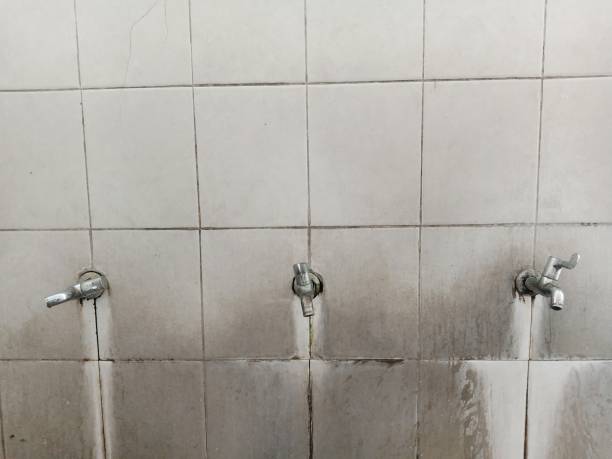 Best Water damage cleanup near me  in Franklin Center, NJ