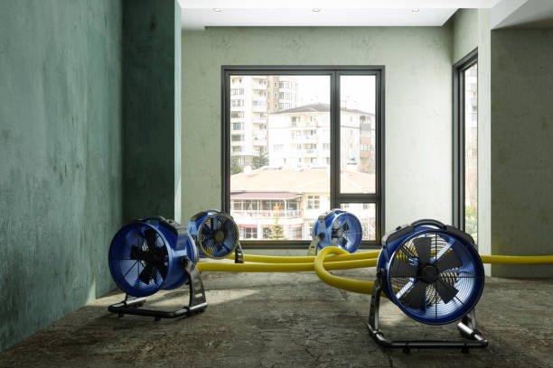 Best Basement water damage restoration  in Franklin Center, NJ